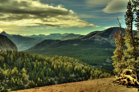 -Mammoth Crest Trail looking North.jpg