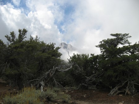 Photo7.JPG