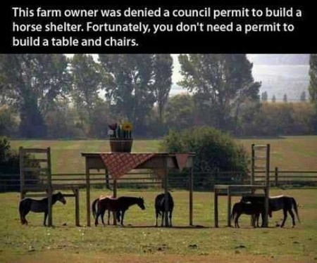 table-chair-horse-shelter.jpg