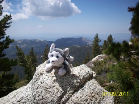 Wellman Divide - wolf taquhiz peak.jpg