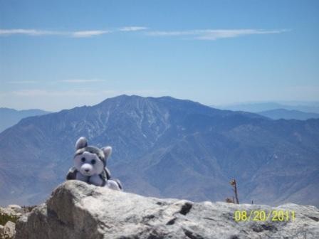 San Gorgonio - South Fork 007.jpg