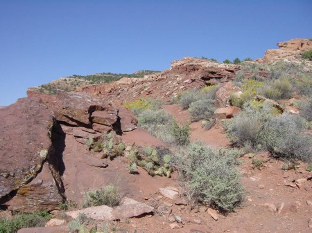 D - Pipe Spring NM view from trail.JPG