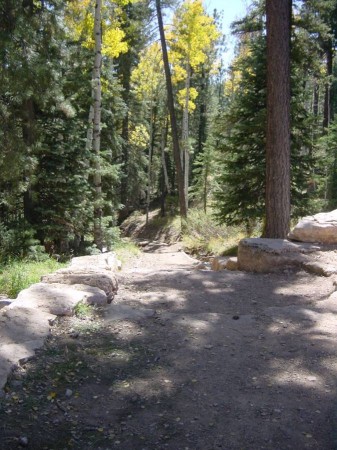F - And the START of N. Kaibab Trail.JPG