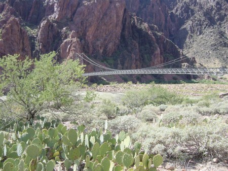 ZF - Silver Bridge across the Colorado River.JPG